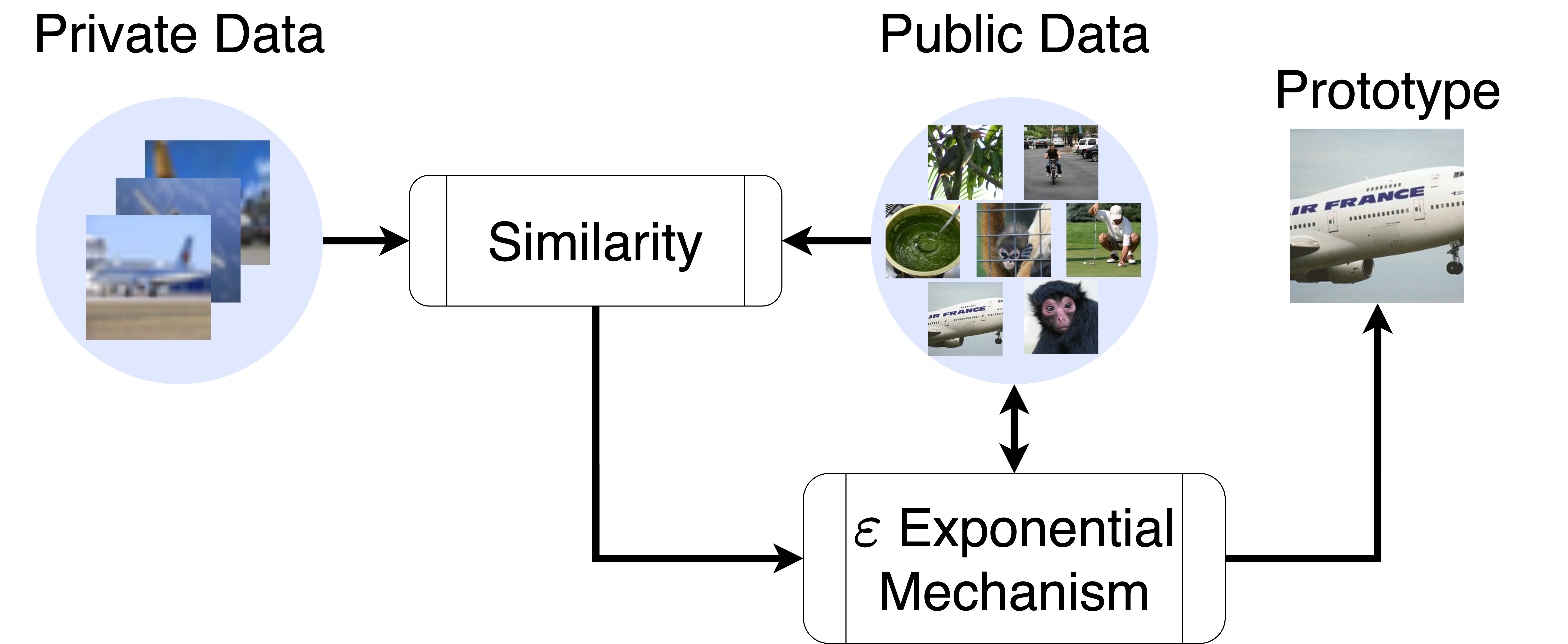 DPPL-Public sampling process